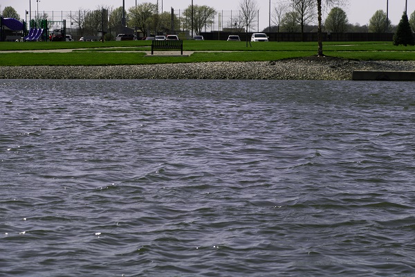 Looking across a lake with a park in the background